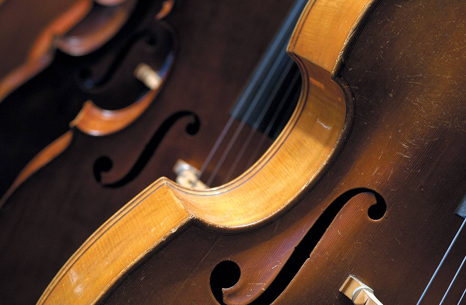 Bach in Concertos Opéra national de Lyon