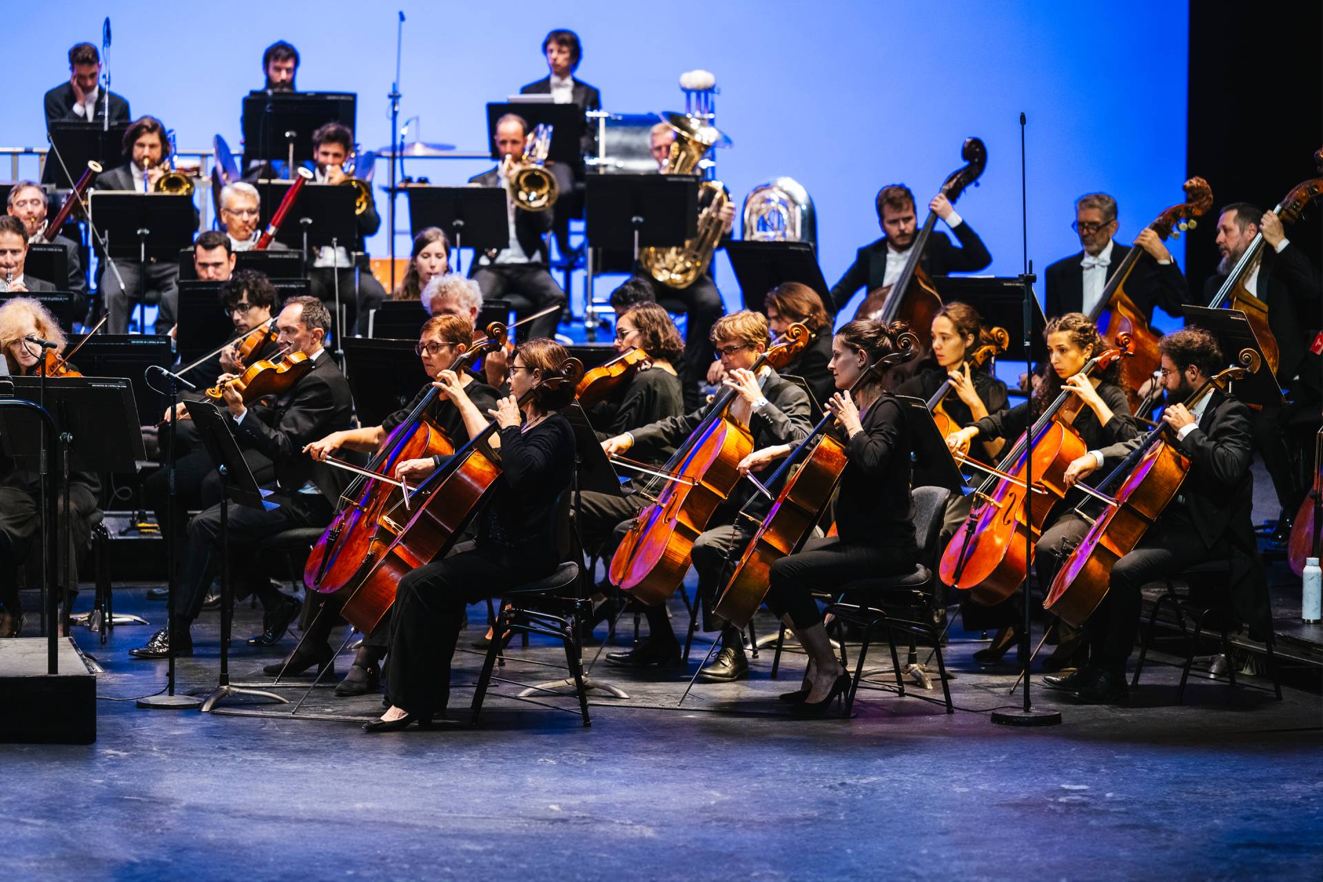 L'orchestre cherche et trouve autour du monde