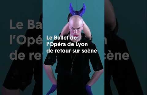 Canine Jaunâtre 3 - Extrait