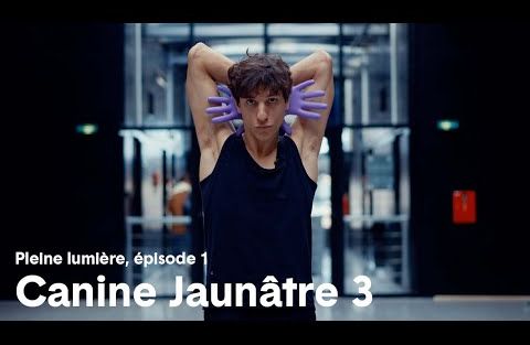 Canine Jaunâtre 3 - Pleine Lumière, épisode 1 : Se laisser surprendre