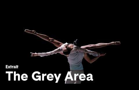 The Grey Area - Extrait