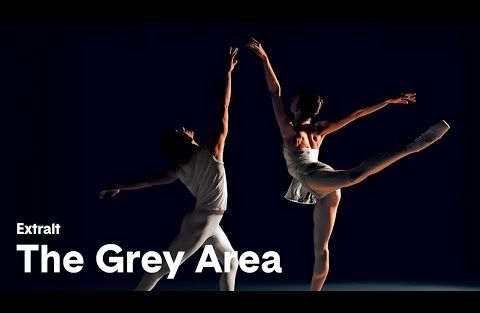 The Grey Area – Extrait