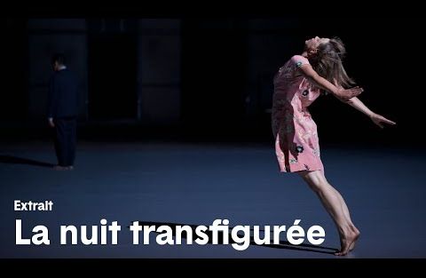 La Nuit transfigurée – Extrait