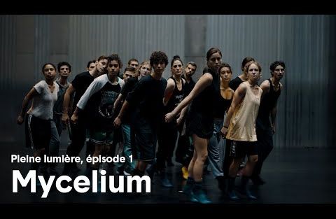 Mycelium - Pleine Lumière, épisode 1 : Une pulsation continue