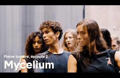 Mycelium - Pleine Lumière, épisode 2 : Tout est dans le regard