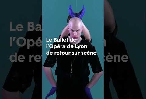 Canine Jaunâtre 3 - Extrait